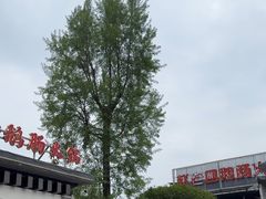 -九尺赵老四鲜鹅肠火锅