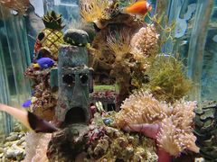 -太平洋海底世界