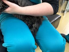 -瑞派天宁宠物医院·猫科·异宠中心