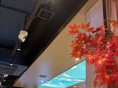 -野妹火锅(布吉店)
