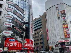 -秋叶原电器街