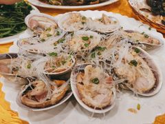 北极贝-鸿达渔港