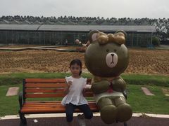 -迪茵湖田家舍生态农场
