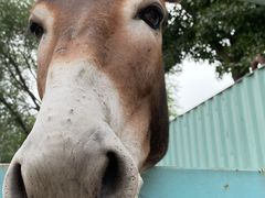 -酷鱼垂钓CLUB(朝阳区博大路店 )