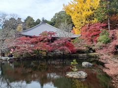 -醍醐寺