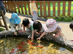 -蒙蒙狮蒙台梭利儿童之家