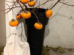 -Seeking Coffee咖啡(新竹路店)