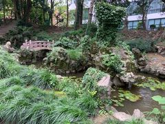 -叶家花园