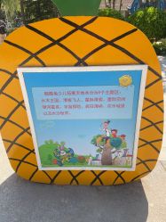 -酷酷兔少儿拓展天地