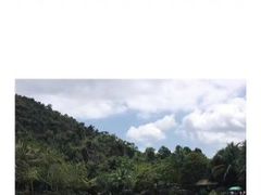 -呀诺达热带雨林