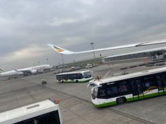-博莱国际机场