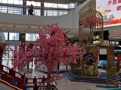 -湯系·煲汤手艺人(东二环泰禾广场店)