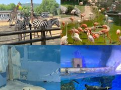 -大连森林动物园