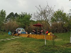 -桤木河湿地公园