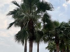 -白城沙滩