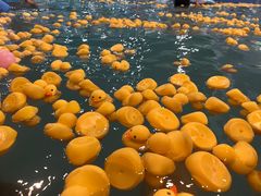 -水王国温泉水世界