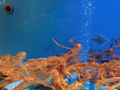 -阿伟海鲜楼·福建菜(延寿店)