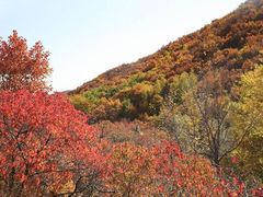 -香山公园-东宫门售票处