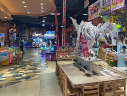 -卡通尼·Safari非洲探索乐园·生日会(金桥国际商业广场店)