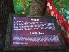 -乌镇西栅景区-月老庙