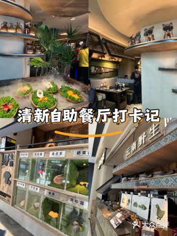 #又是一年吃菌季 #又是一年毕业季  到常州玩