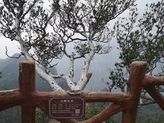 -神农山景区