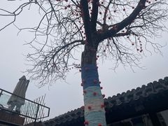 -SUSU·苏苏(四合院创始店)