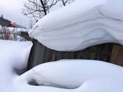 -亚布力新体委滑雪场