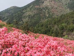 -木兰云雾山