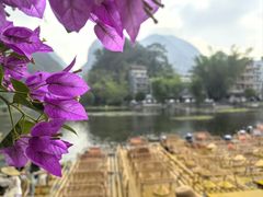 -靖西鹅泉风景区
