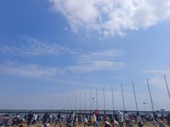 -碧海金沙