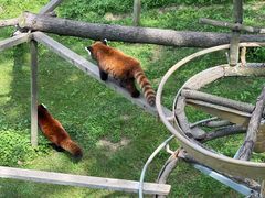 -西霞口神雕山野生动物世界