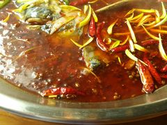 -红牌美蛙鱼头火锅(万辉国际广场店)