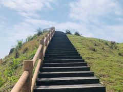 -天龙顶山地公园