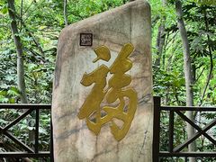 -句容茅山景区