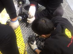 -利美特•威固V-KOOL双膜(杨浦授权店)