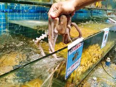 -范饭椰林川湘味海鲜·椰子鸡(三亚湾椰梦长廊店)
