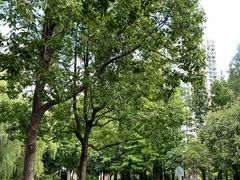 -苏州河梦清园环保主题公园