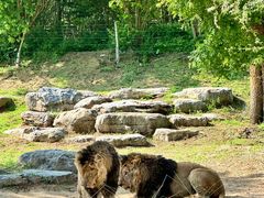 -北京野生动物园