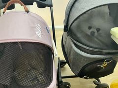 -柏萃动物医院·骨科·牙科