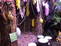 -正佳雨林生态植物园