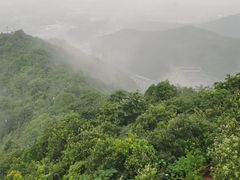 -杭州半山国家森林公园