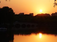 -昆山城市生态森林公园