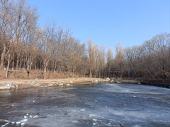 -云岗森林公园
