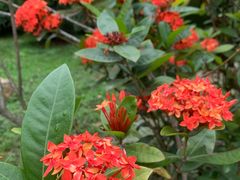 -华南国家植物园-售票处