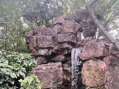 -秋霞圃