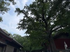 -晋祠公园