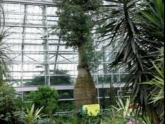 -南山植物园