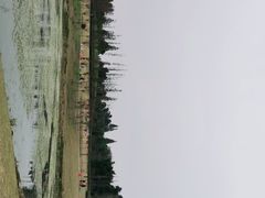 -两河城市森林公园