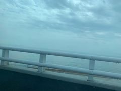 -演武大桥观景平台